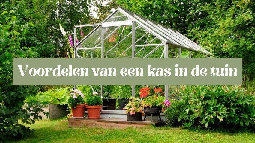 Tuinkas in tuin voor moestuinieren